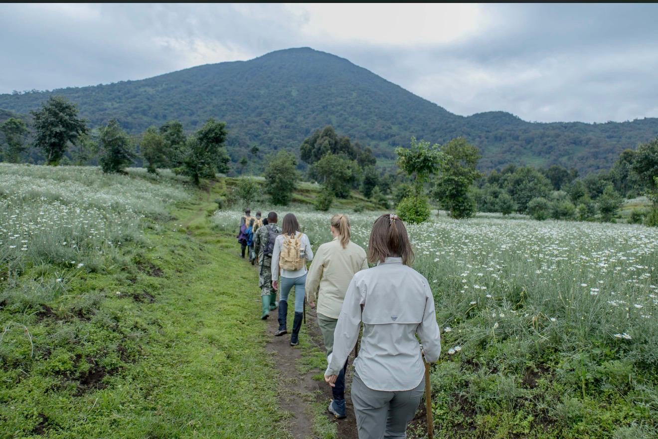 Best of Rwanda Tour: Gorillas, Wildlife & Culture